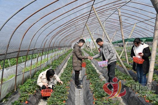 19500755344603127_92.jpg 19500755344603127_92.jpg