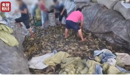 12015615683769683_7.png 12015615683769683_7.png