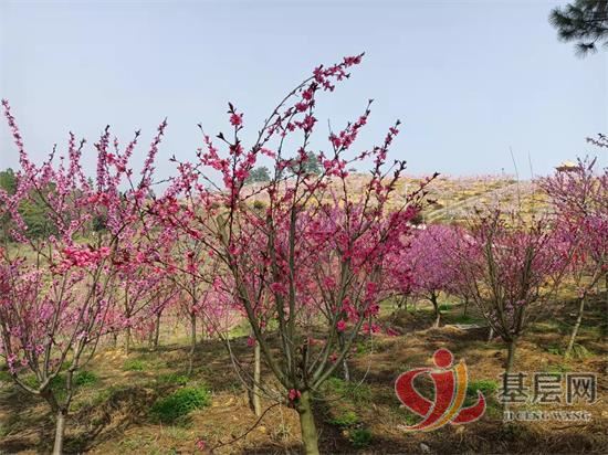 22352485246299589_92.jpg 22352485246299589_92.jpg