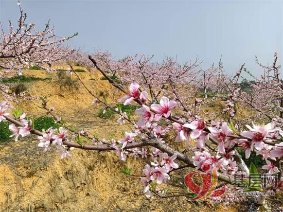 22355522577764520_92.jpg 22355522577764520_92.jpg