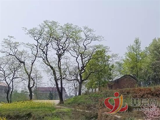 2236457385463478_92.jpg 2236457385463478_92.jpg