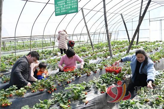 14231006452295672_92.jpg 14231006452295672_92.jpg