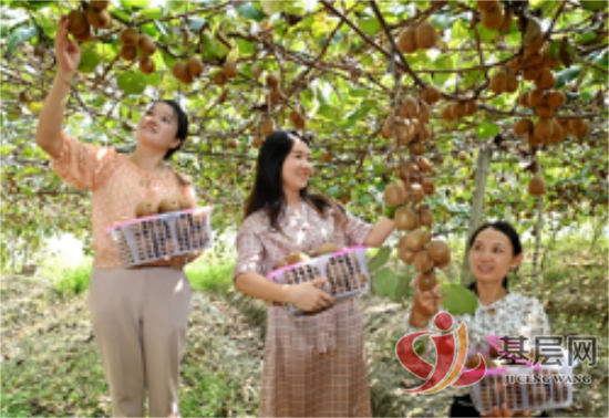 14255107248845540_92.png 14255107248845540_92.png