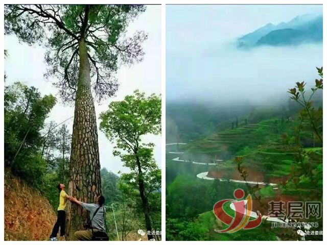 13573467484217103_75.jpg 13573467484217103_75.jpg