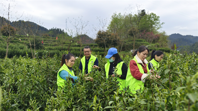 图片2.png 图片2.png