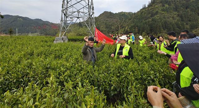 图片1.png 图片1.png