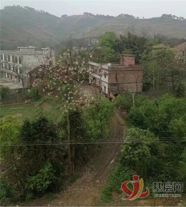 16313735035947395_75.jpg 16313735035947395_75.jpg