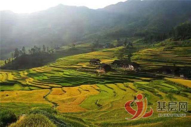 21072483193956850_75.jpg 21072483193956850_75.jpg