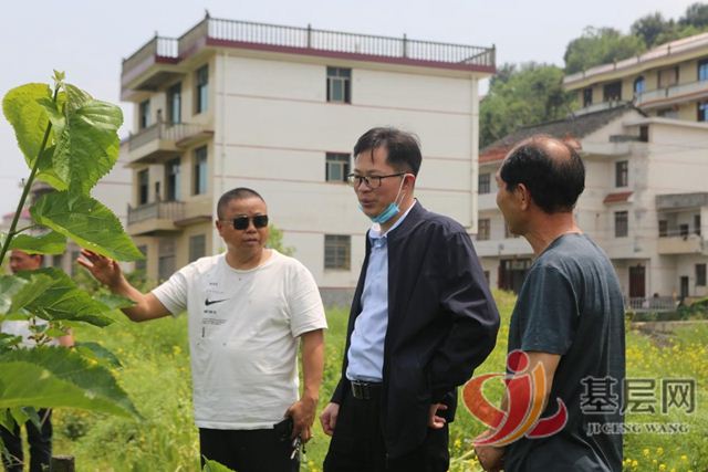 21030259161650564_75.jpg 21030259161650564_75.jpg