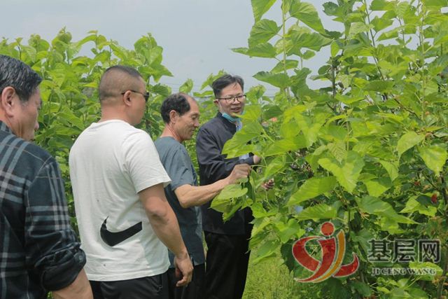 21031965813978937_75.jpg 21031965813978937_75.jpg