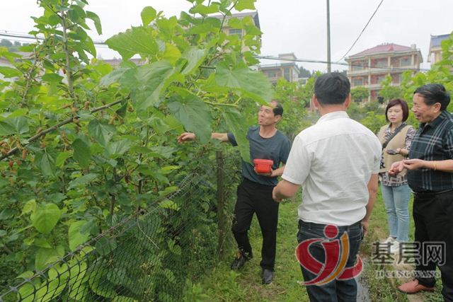 21034009416816144_75.jpg 21034009416816144_75.jpg