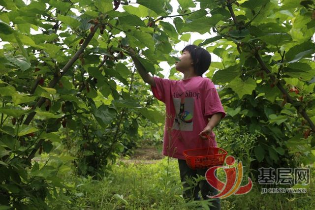 21035570973528955_75.jpg 21035570973528955_75.jpg