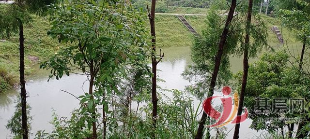 15510485749464590_75.jpg 15510485749464590_75.jpg