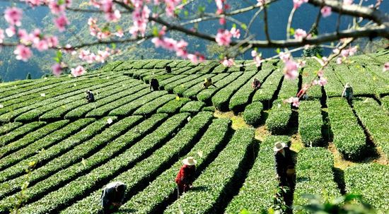 11123515637111324_5.jpg 11123515637111324_5.jpg