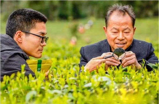 11110342885473606_5.jpg 11110342885473606_5.jpg