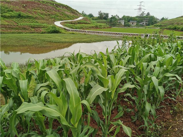 11243657787373406_106.jpg 11243657787373406_106.jpg