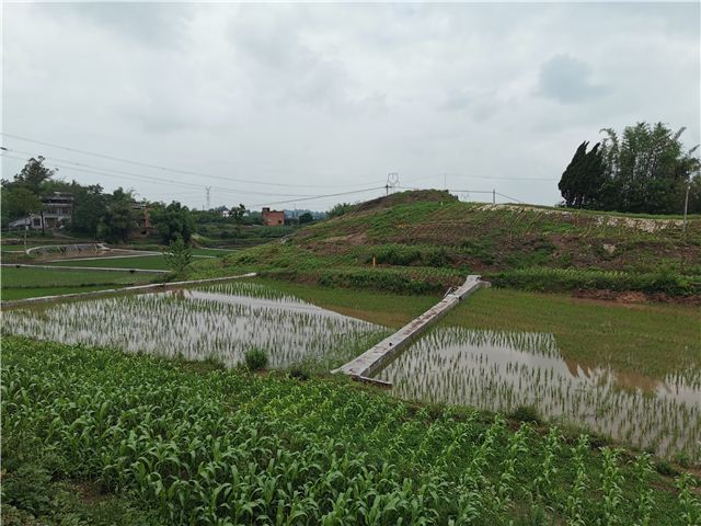 11271763259463173_106.jpg 11271763259463173_106.jpg