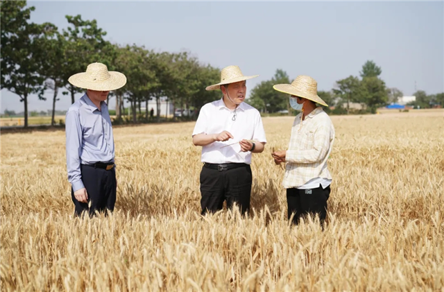 21110203246248647_117.png 21110203246248647_117.png