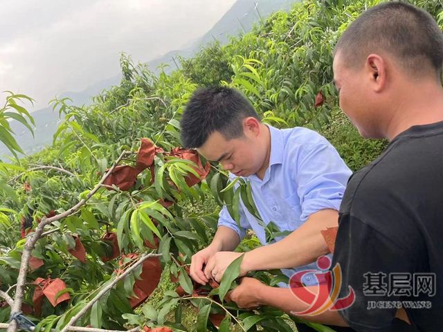 09490344466284002_75.jpg 09490344466284002_75.jpg