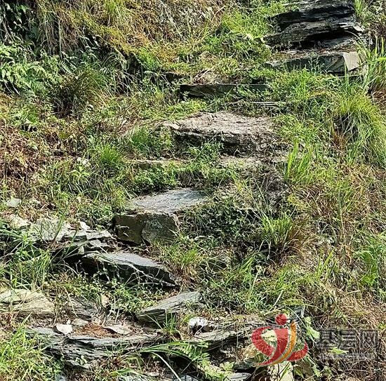 14495535364984254_92.jpg 14495535364984254_92.jpg