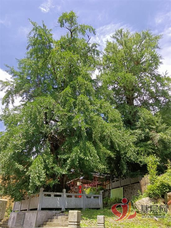 14504895535401165_92.jpg 14504895535401165_92.jpg