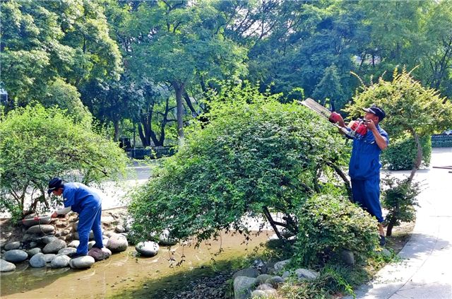 18195718644443928_106.jpg 18195718644443928_106.jpg