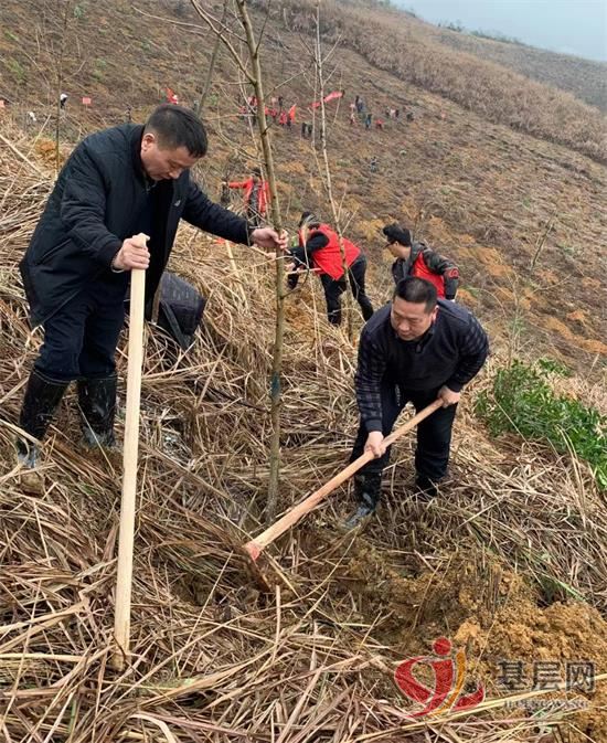 11463814761864459_92.jpg 11463814761864459_92.jpg