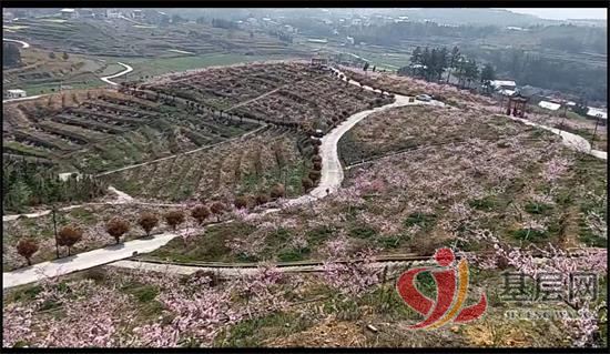 1544244156881635_92.jpg 1544244156881635_92.jpg