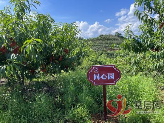 15455060579259933_92.jpg 15455060579259933_92.jpg