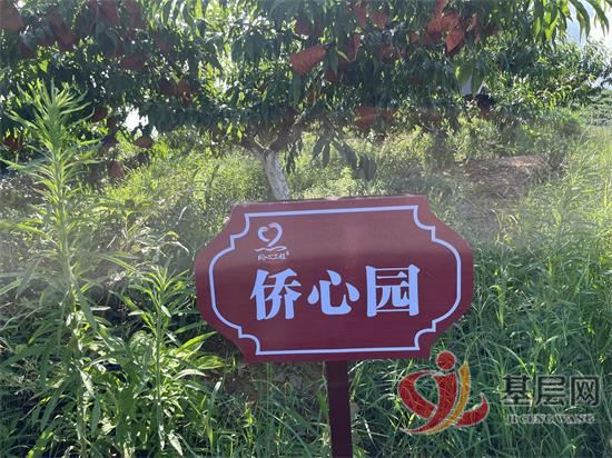 15470590715970024_92.jpg 15470590715970024_92.jpg