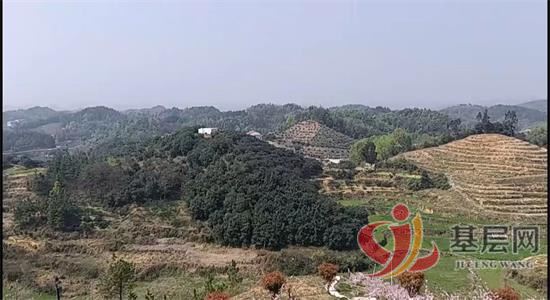 15492675977697818_92.jpg 15492675977697818_92.jpg