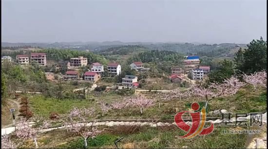 15503433902725148_92.jpg 15503433902725148_92.jpg