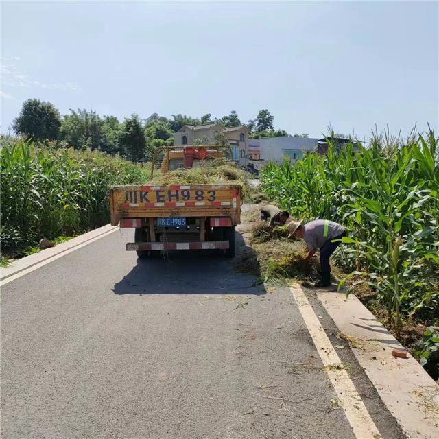 10243679638207727_106.jpg 10243679638207727_106.jpg