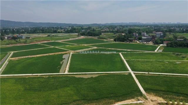 10251913487861502_106.jpg 10251913487861502_106.jpg