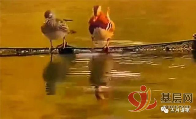 11441184299632326_68.jpg 11441184299632326_68.jpg