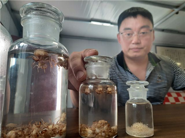 10241738328280438_124.jpg 10241738328280438_124.jpg