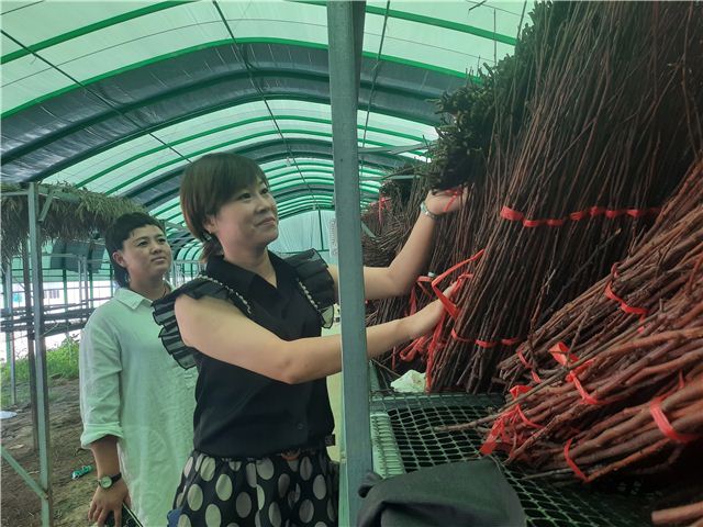 1025192685150500_124.jpg 1025192685150500_124.jpg