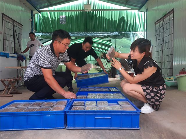 10285548497808919_124.jpg 10285548497808919_124.jpg