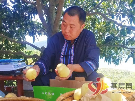 15120139647951278_92.jpg 15120139647951278_92.jpg