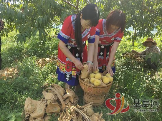 15123634041649489_92.jpg 15123634041649489_92.jpg