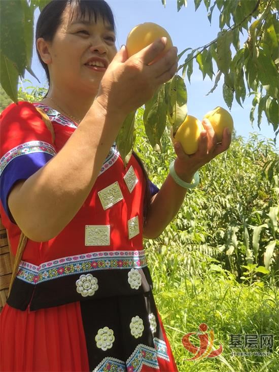 15125513846138926_92.jpg 15125513846138926_92.jpg