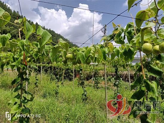 1017386450367816_92.jpg 1017386450367816_92.jpg