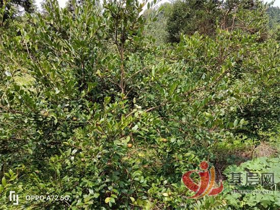 10202726576354523_92.jpg 10202726576354523_92.jpg