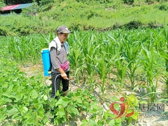 1744445769832652_92.jpg 1744445769832652_92.jpg