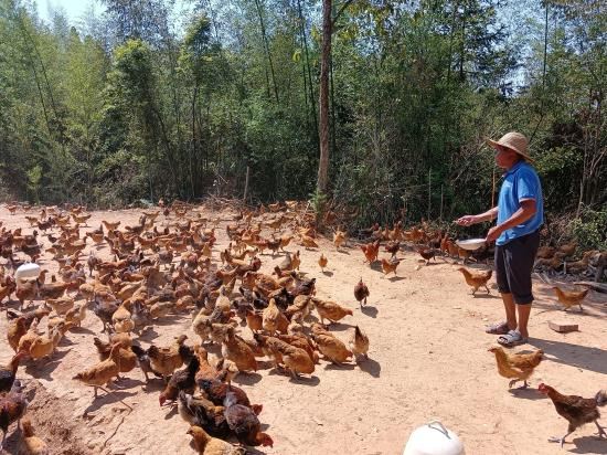 1745376638906109_92.jpg 1745376638906109_92.jpg