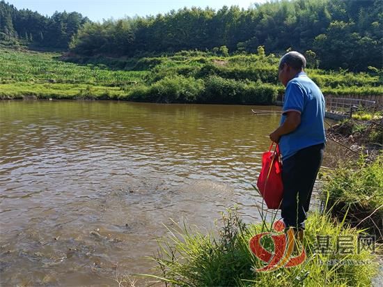 1746142771101572_92.jpg 1746142771101572_92.jpg