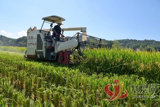 10324486169775125_92.jpg 10324486169775125_92.jpg