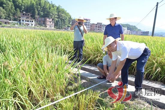 10334613857991096_92.jpg 10334613857991096_92.jpg