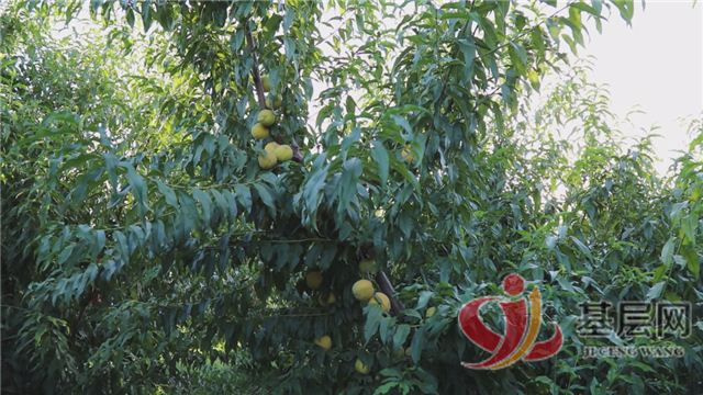 22162518092287717_94.jpg 22162518092287717_94.jpg