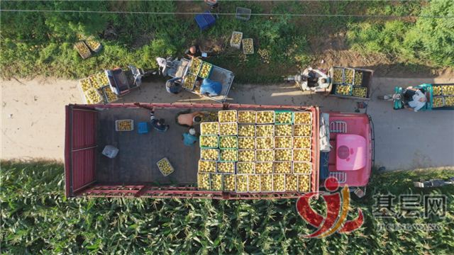 22174293143193752_94.jpg 22174293143193752_94.jpg